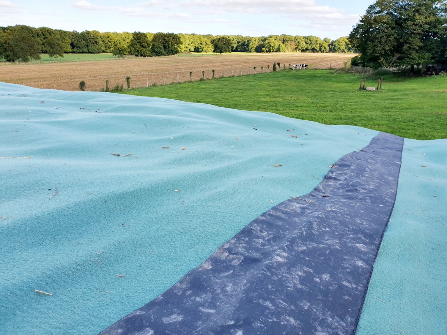 Beige/Black undercoat 90 µm - VELITEX